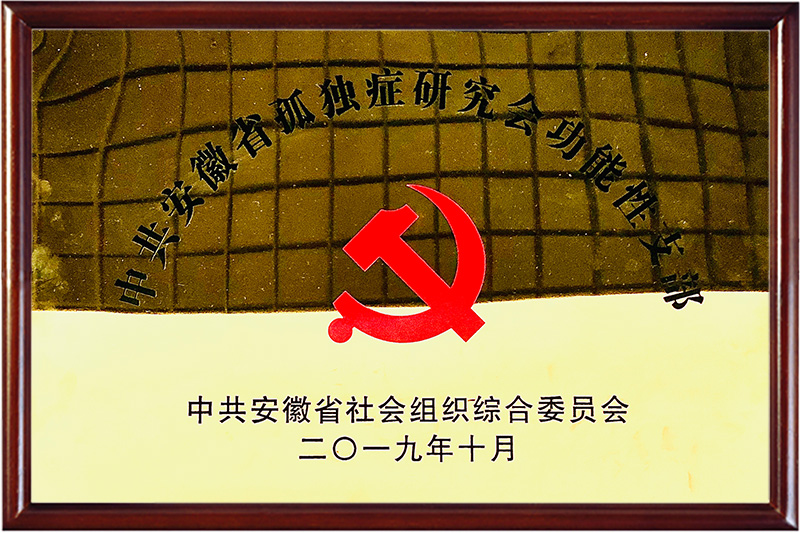 中共安徽省孤獨癥研究會功能性支部